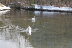 IMG_8639